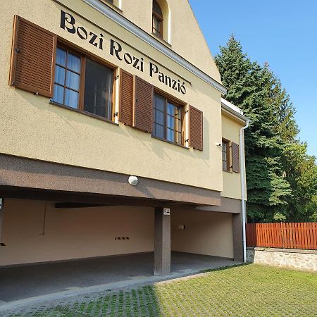 Bozi Rozi Panzio 호텔 Fertőboz 외부 사진