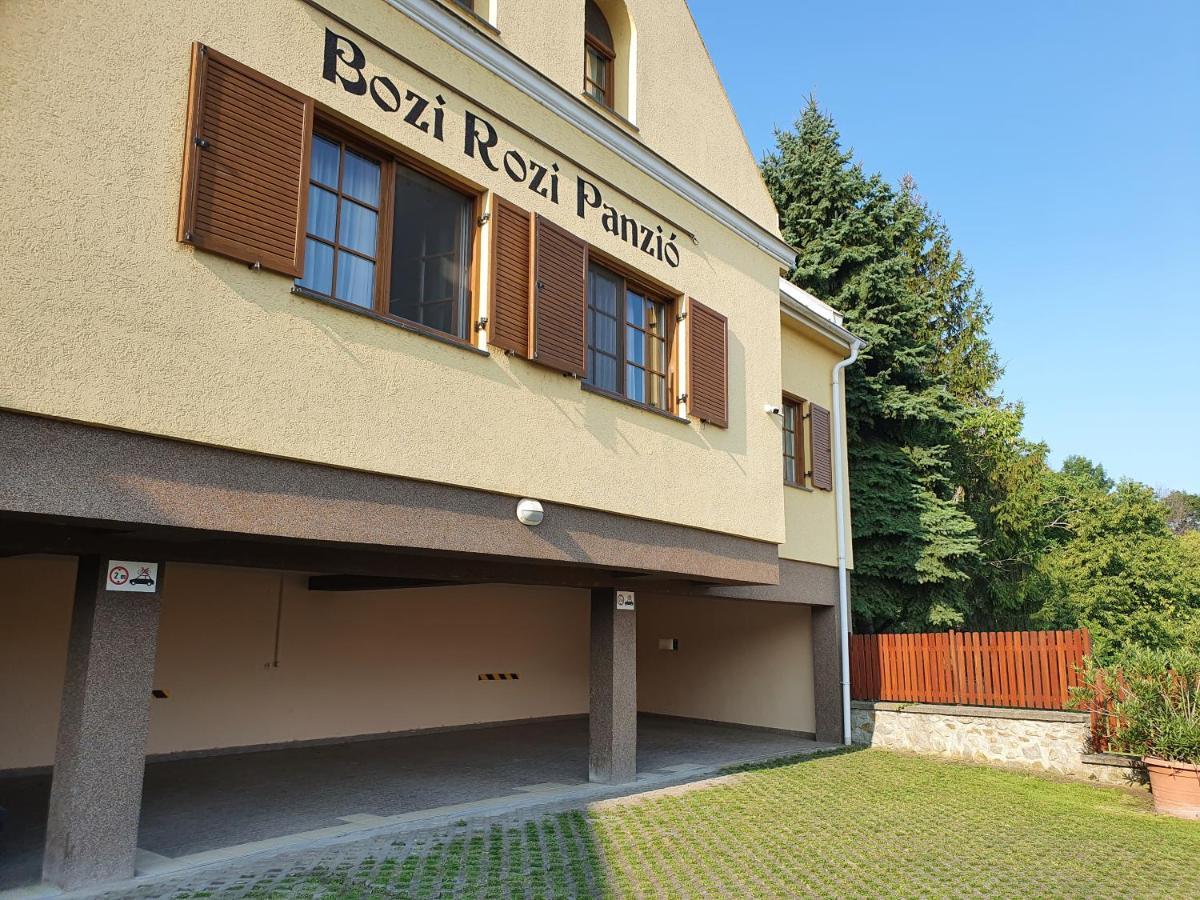 Bozi Rozi Panzio 호텔 Fertőboz 외부 사진