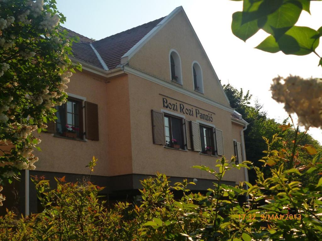 Bozi Rozi Panzio 호텔 Fertőboz 외부 사진